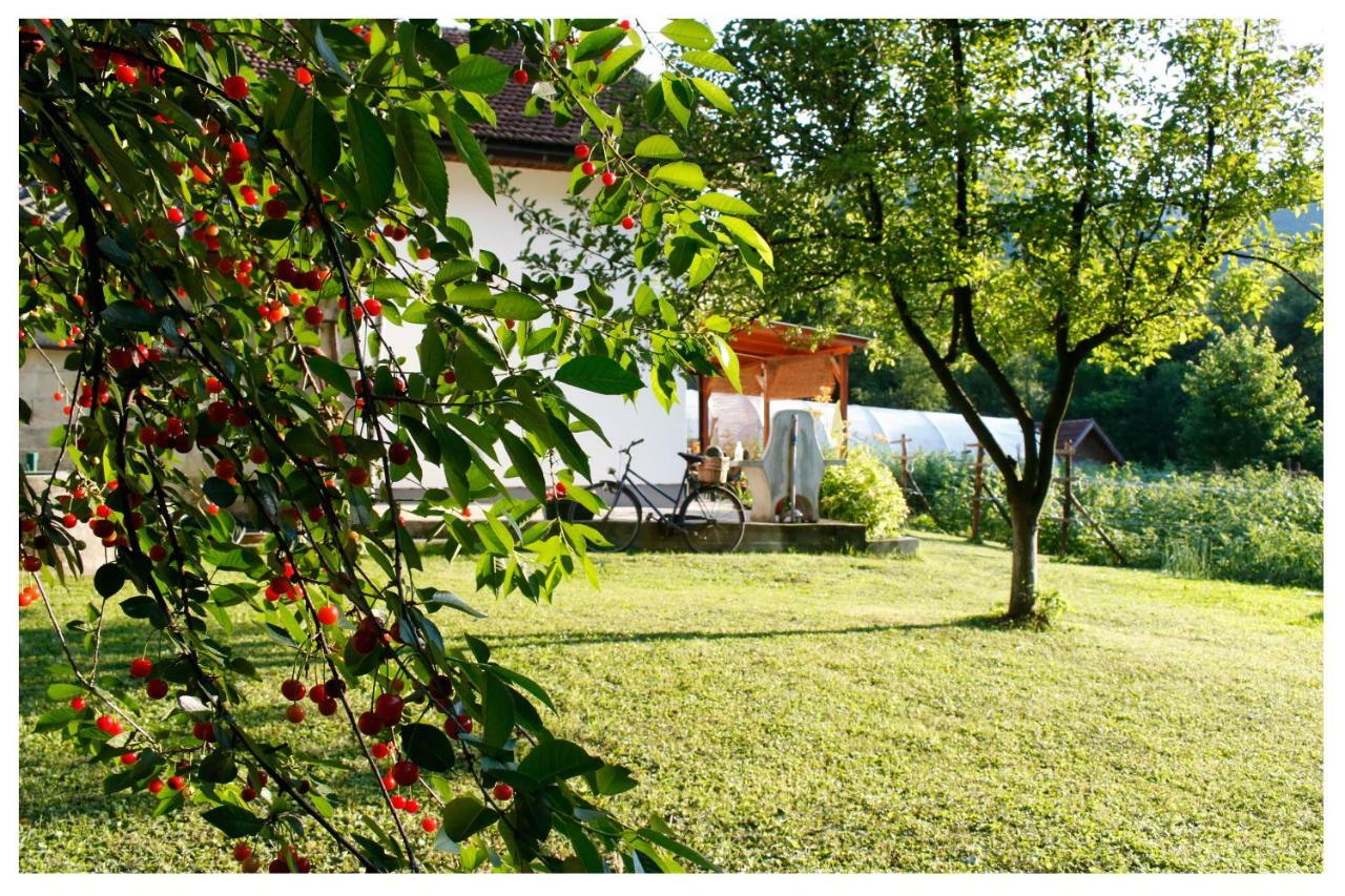 Holiday Residence Buric Visoko Exterior foto